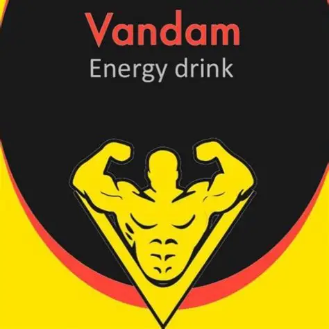 VANDAM CANNETTE ENERGY DRINK