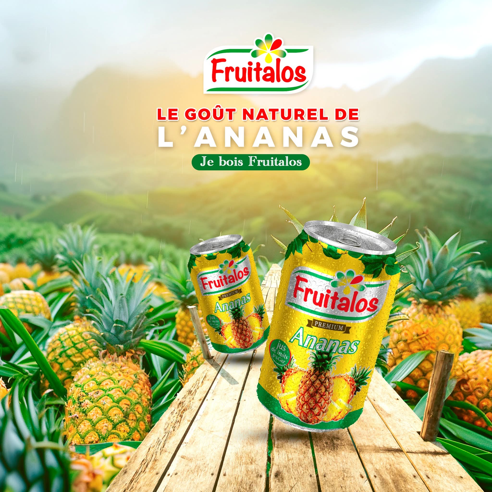 FRUITALOS ANANAS